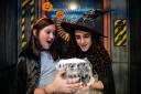 Science Spooktacular at Winchester Science Centre