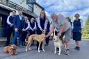The Four Horseshoes in Nursling is launching its own dog walking club