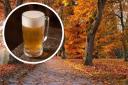 There are several nice autumn walks near Southampton with a pub stop on route