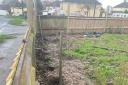 Around 40 trees were stolen from a community garden in Sholing.