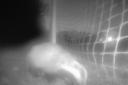 The badger which damaged Warsash's pitch was captured on CCTV