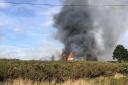 Fire on Pennington Common on Saturday, July 30. Picture: Ethan Davies