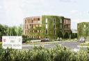 Artist Impression of the Lower Acre living wall signature building at the southern gateway