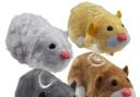 Where have all the  hamsters  go-go-  gone?