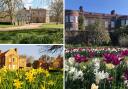 National trust spring garden walks in Hampshire
