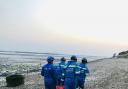 Coastguard crews come to rescue of person who fell on a beach in Titchfield. Photo from: Hill Head Coastguard Team/Facebook.