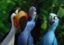 Win family tickets to see Rio 3D!