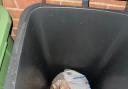 Mark James' cat Sky was found dead inside a bin