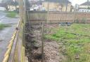 Around 40 trees were stolen from a community garden in Sholing.