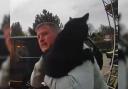 Plumber Scott Mckendry trying to catch the escaped cat