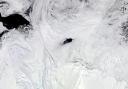 The Maud Rise polynya in Antarctica