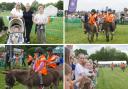 The annual Donkey Derby at Eling Recreation Ground runaway success