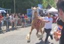Streets of Wickham filled for this year's horse fair