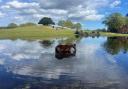 Residents and visitors to the New Forest area are being asked to share their thoughts on new walking and cycling plans