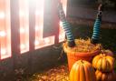 The council also advised buying Halloween outfits from well-known and trusted retailers