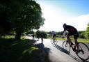 Cyclists taking part in a Wiggle cycling event in the New Forest