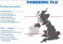 National Flu Pandemic Service website