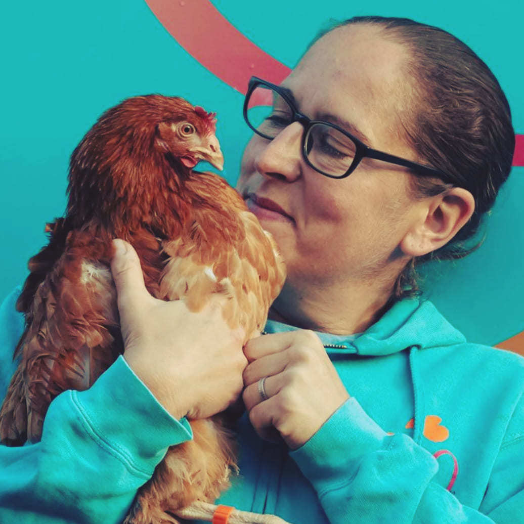 The local group is encoraging animal lovers to rehome rescue chickens