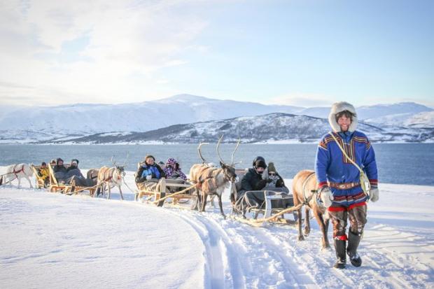 Daily Echo: Reindeer Sledding Experience and Sami Culture Tour from Tromso - Tromso, Norway. Credit: TripAdvisor