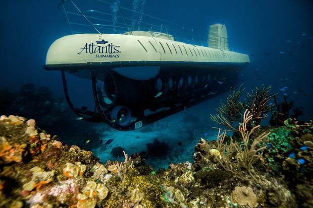 Daily Echo:  Atlantis Submarine Expedition in Cozumel - Cozumel, Mexico. Credit: TripAdvisor