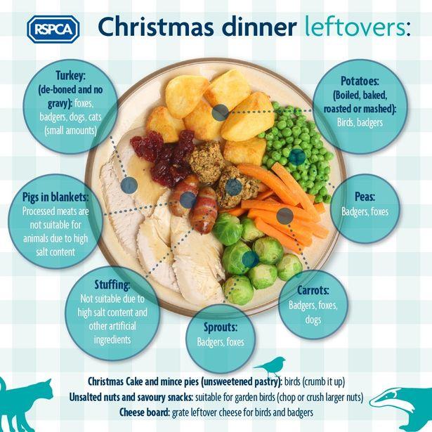 Daily Echo: Some Christmas dinner leftovers can be hazardous to pets. Picture: RSPCA