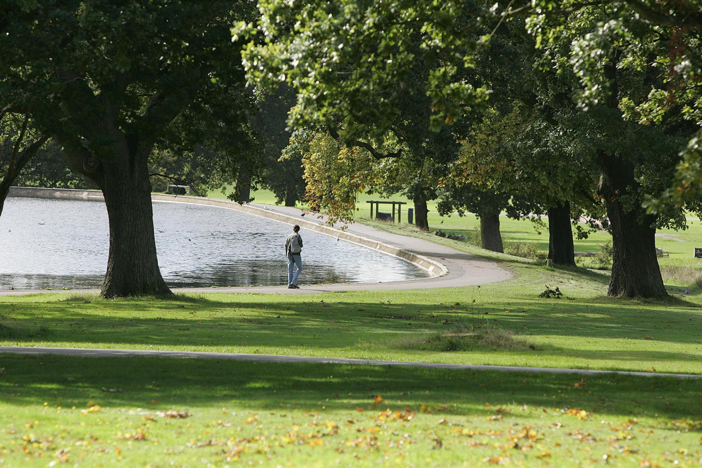 The boating lake on Southampton Common in the autum sunshine page13