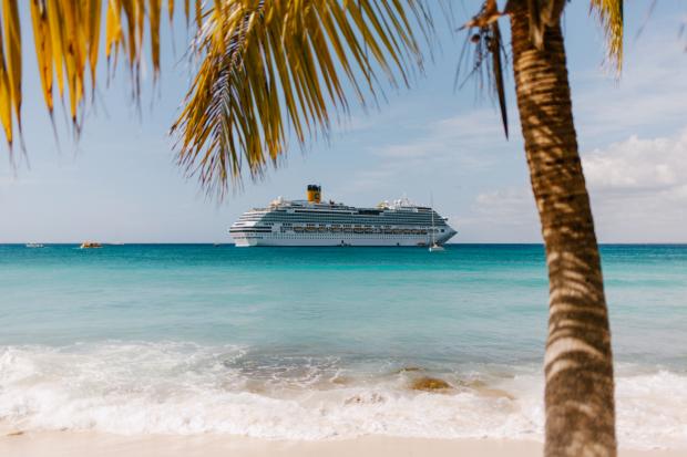 Daily Echo: A cruise ship sailing on the ocean behind a sandy beach and palm tree. Credit: Canva