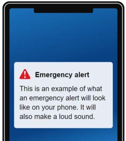 Daily Echo: What a government emergency alert will look like. Picture: gov.uk