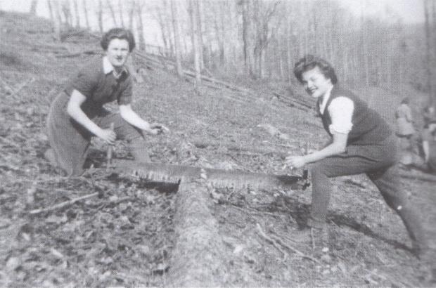 Daily Echo: Members of the Women's Timber Corps hard at work during the Second World War. Picture: Joanna Foat collection.