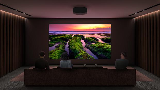 Daily Echo: People watching a beautiful scene on a home projector. Credit: Sony