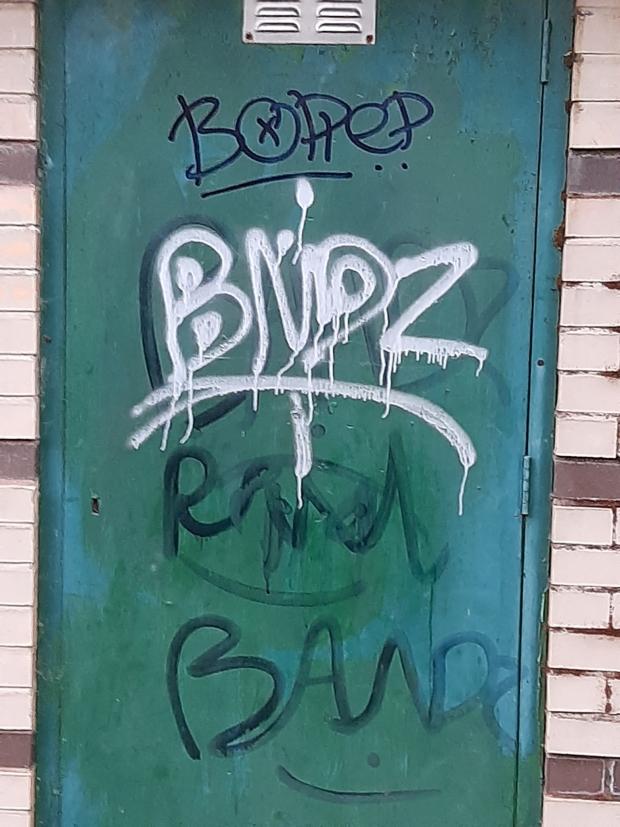 Daily Echo: Graffiti at Drummond Community Centre, Hedge End. Photo from: Hedge End Police/Facebook. 