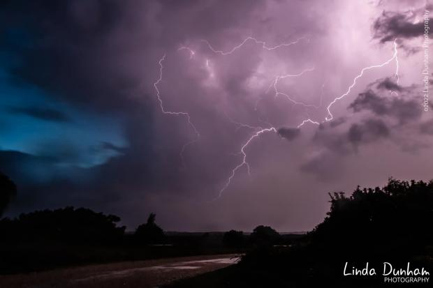 Lightning in the New Forest by Linda Dunham