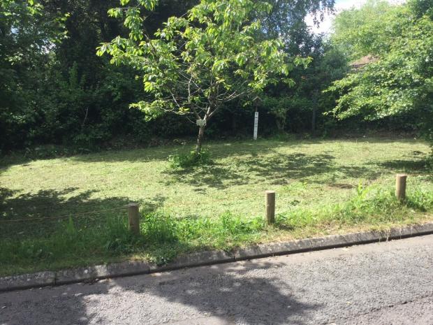Daily Echo: The wildflower meadow in Knowle Hill after it was mowed by the council 