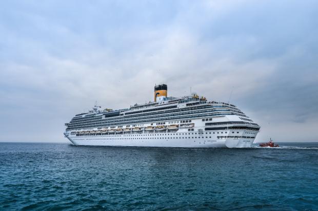 Daily Echo: A cruise ship sailing on the ocean. Credit: Canva