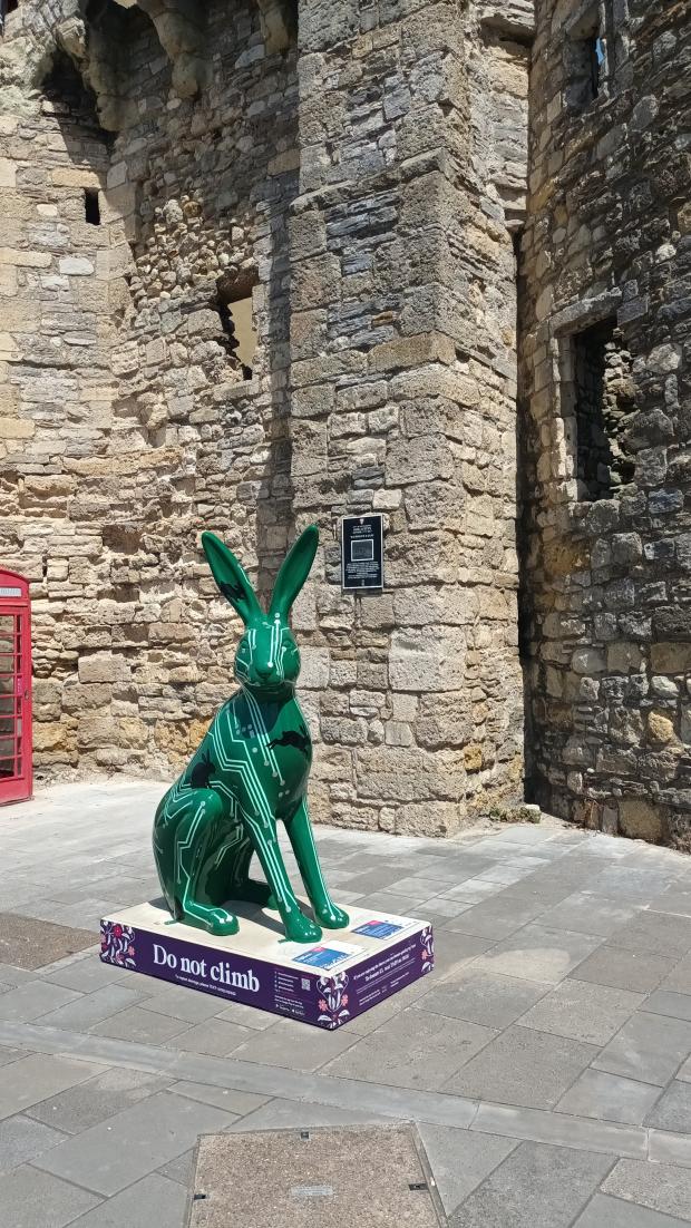 Daily Echo: A hare sculpture outside God's House Tower.