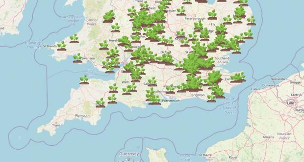 Daily Echo: WhatShed's interactive map shows dozens of spots in the south of England where Giant Hogweed has been spotted. Picture: WhatShed