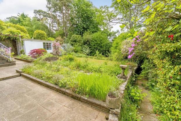 Daily Echo: The rear garden is predominantly laid to lawn. Picture: Zoopla