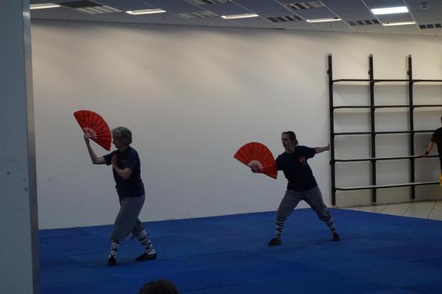 Daily Echo: Martial arts show at the opening