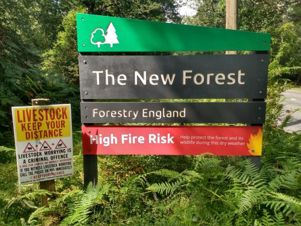 Daily Echo: The hot, dry weather has increased the risk of wildfires breaking out in the New Forest.