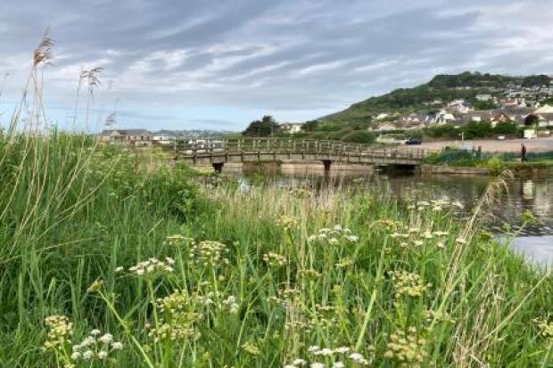 River Char at Charmouth. Picture: Dan Assinder