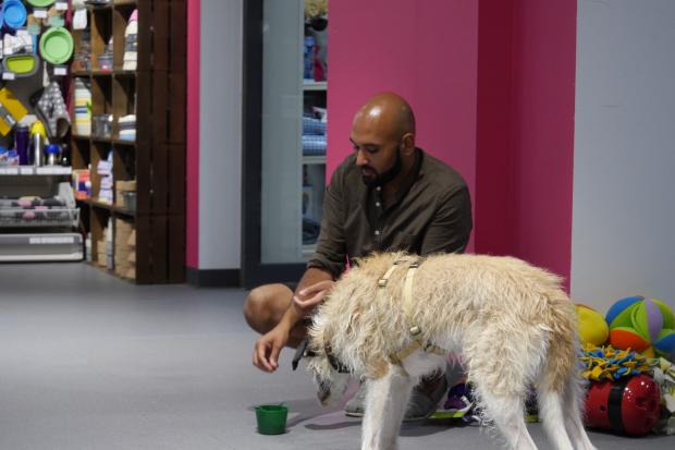 Chirag Patel visits Healthy Pet Store