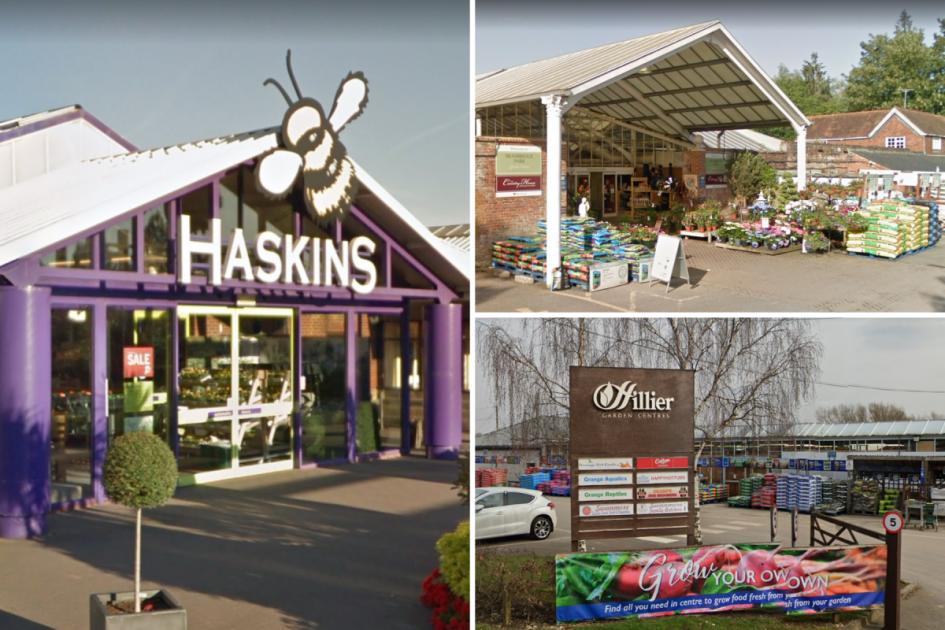 The best garden centers in Southampton according to our readers