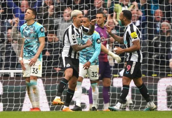 Daily Echo: Saints react to conceding at St James' Park. Daily Echo: Saints react to conceding at St James' Park.