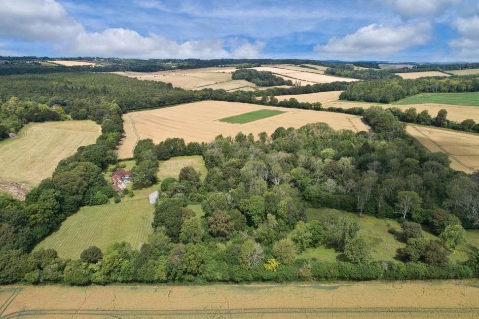 Rural Hampshire family home set in 17 acres is up for sale - Take a look inside 