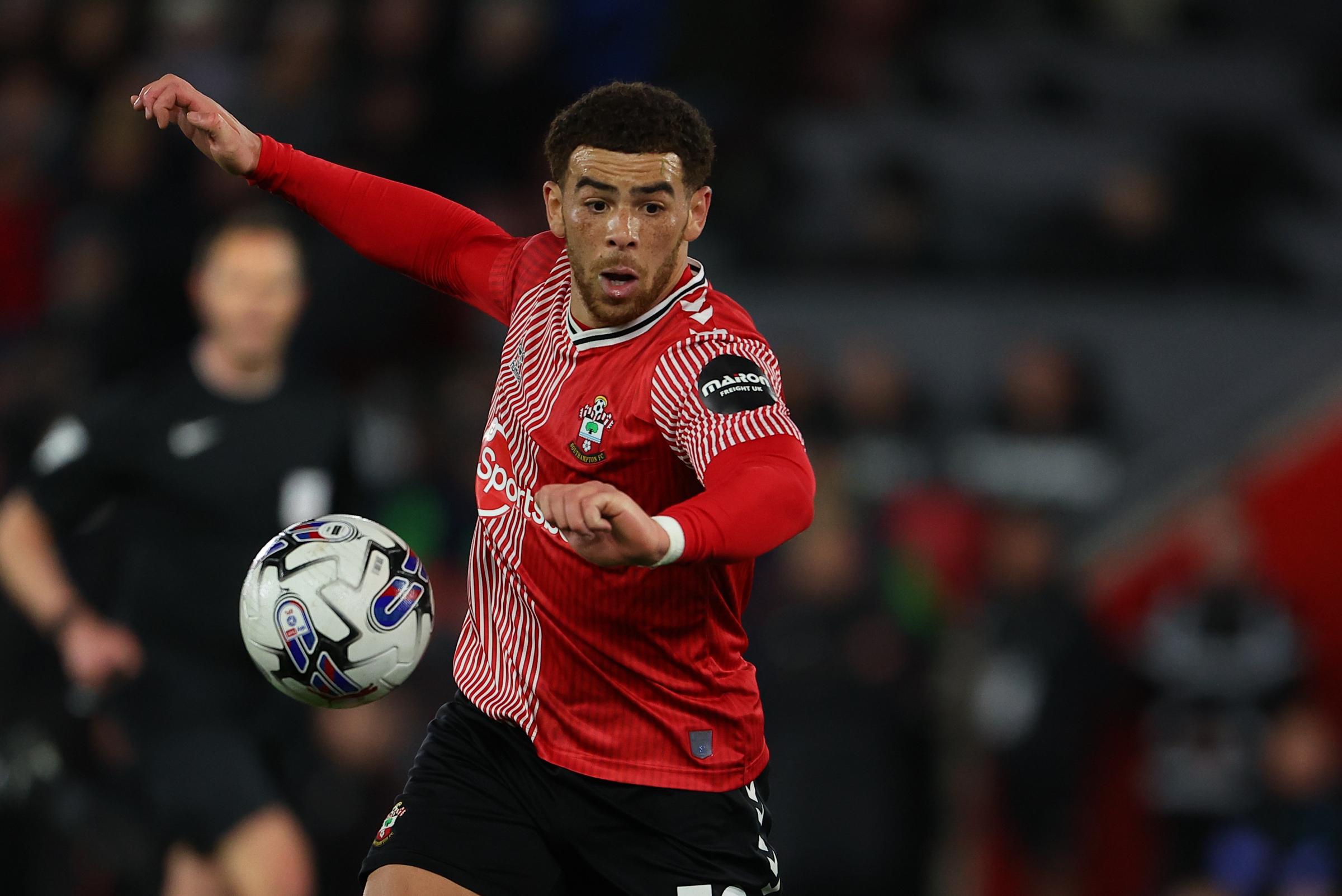 Southampton's Martin gives latest on Adams fitness for West Brom clash