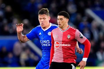 Martin reveals what he told Southampton team about Adams at Leicester