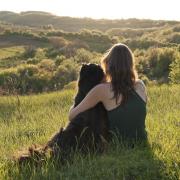 Dog owners across the South East are walking the dog to get some peace and quiet, a study has found.