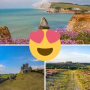 Spring walks to enjoy in Hampshire and Dorset