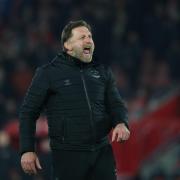 Ralph Hasenhuttl was unable to convince Sport Republic he was the man for their future