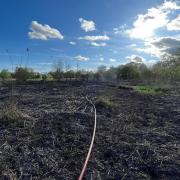 Firefighters tackle blaze at Winchester nature reserve
